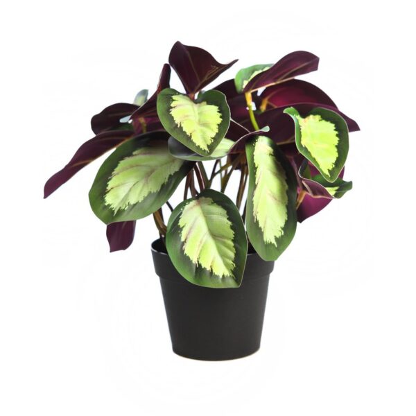 AD0776M.DX2_0 MACETA CALATEA ARTIFICIAL 25CM - Imagen 1