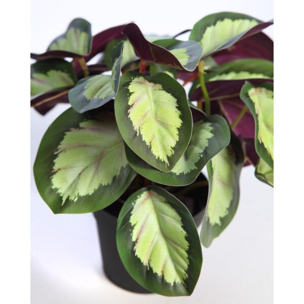 MACETA CALATEA ARTIFICIAL 25CM - Imagen 2