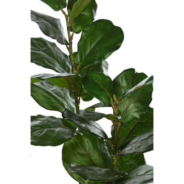 FICUS LYRATA EN MACETA 120CM - Imagen 2