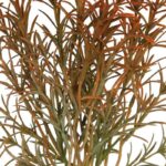 ATADO ESPARRAGUERA ARTIFICIAL 34CM - Imagen 4