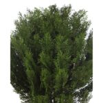 SETO TUYA 90CM - Imagen 2