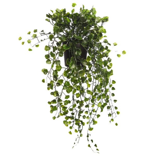 AU0010_0 MACETA COLGANTE DICHONDRA VERDE 49CM - Imagen 1