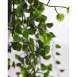 MACETA COLGANTE DICHONDRA VERDE 49CM - Imagen 2