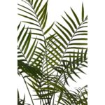 PALMERA ARECA ARTIFICIAL 165CM - Imagen 2