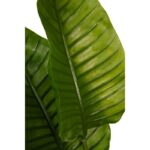 PALMERA ARTIFICIAL RAVENALA 160CM - Imagen 3