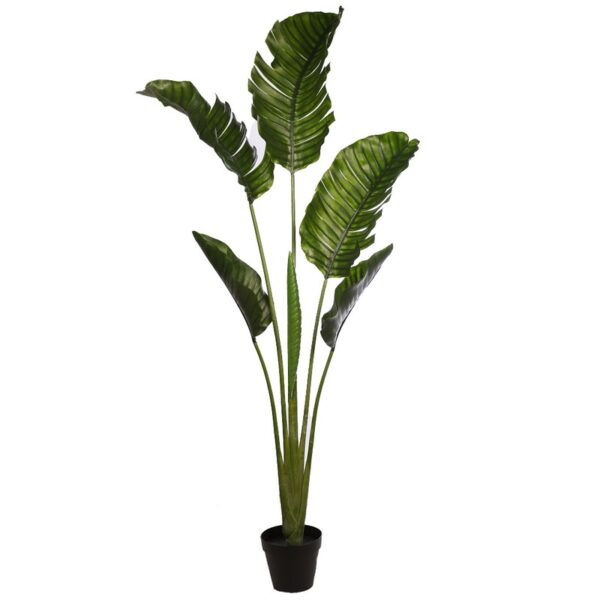 PALMERA RAVENALA ARTIFICIAL 190CM - Imagen 1