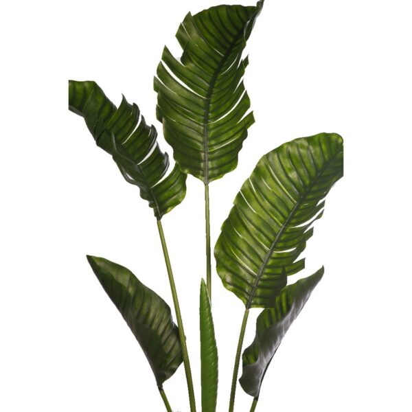 PALMERA RAVENALA ARTIFICIAL 190CM - Imagen 2