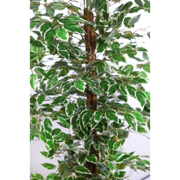 ARBOL FICUS ARTIFICIAL 180CM - Imagen 2