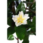 MAGNOLIO ARTIFICIAL CON MACETA 90CM - Imagen 2