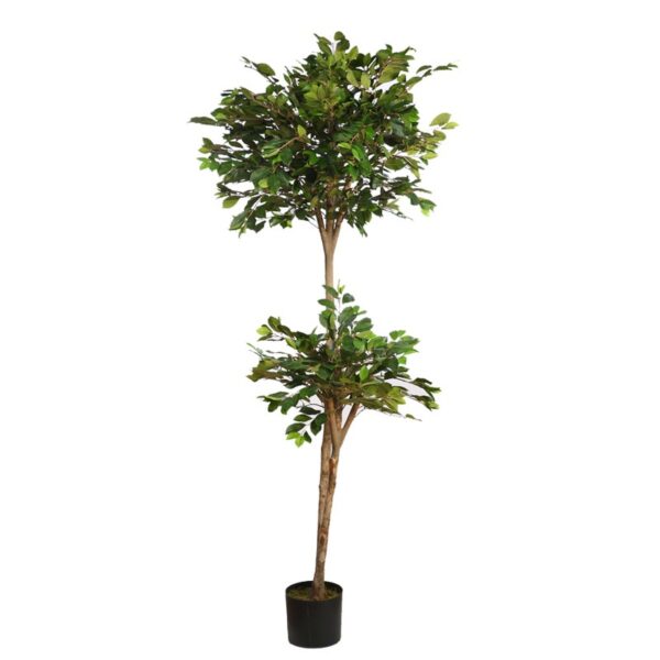 B067TD_0 ARBOL DE FICUS RETUSA EN MACETA ARTIFICIAL 180CM - Imagen 1