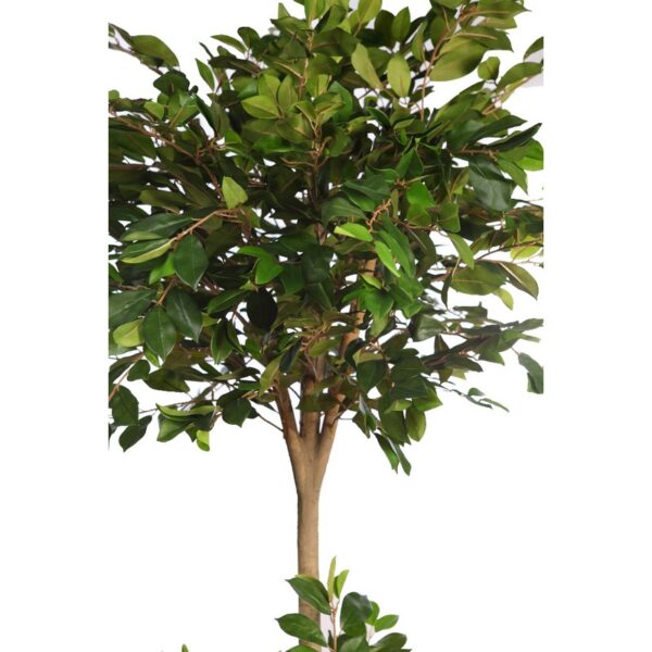 ARBOL DE FICUS RETUSA EN MACETA ARTIFICIAL 180CM - Imagen 2