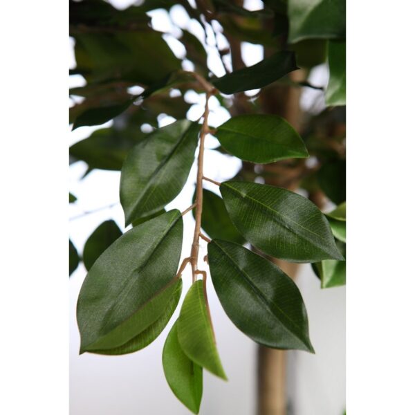 ARBOL DE FICUS RETUSA EN MACETA ARTIFICIAL 180CM - Imagen 3