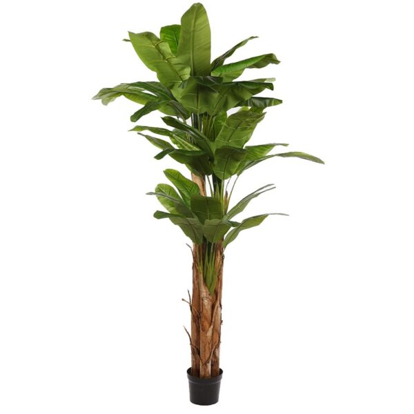 B081TA_0 PLATANERO ARTIFICIAL X 3 EN MACETA, 220CM - Imagen 1