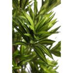 DRACENA ARTIFICIAL 150CM - Imagen 3