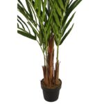 PALMERA KENTIA EN MACETA 170CM - Imagen 3