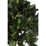 ARBOL DE LAUREL ARTIFICIAL DOBLE BOLA ALT 160CM - Imagen 3
