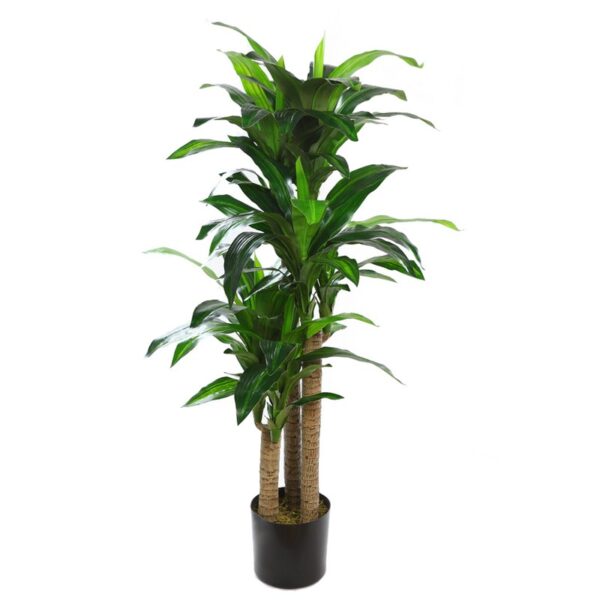 PLANTA DRACENA ARTIFICIAL 140CM - Imagen 1