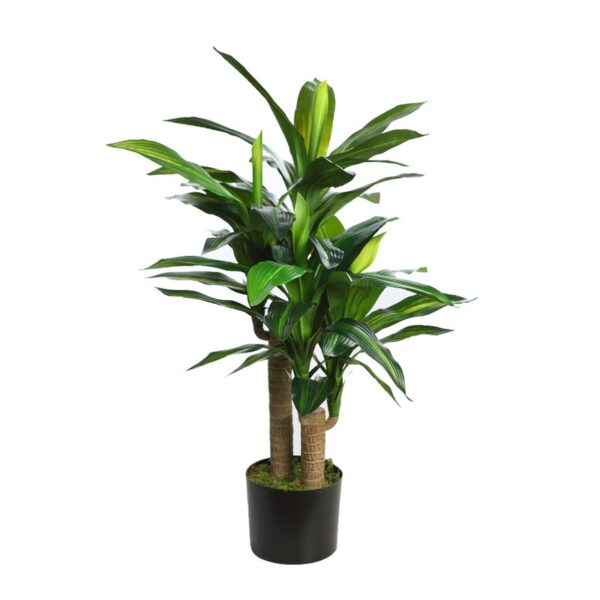 B163TC_0 PLANTA DRACENA ARTIFICIAL 90CM - Imagen 1
