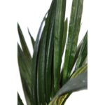 PALMERA KENTIA EN MACETA ARTIFICIAL 180CM - Imagen 3