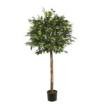 ARBOL FICUS COPA ANCHA CON MACETA 160CM
