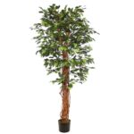 FICUS ANCHO CON MACETA 180CM