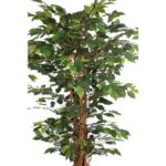 ARBOL FICUS CON MACETA 190CM - Imagen 4