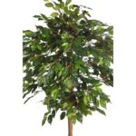 ARBOL COPA FICUS CON MACETA 190CM - Imagen 2