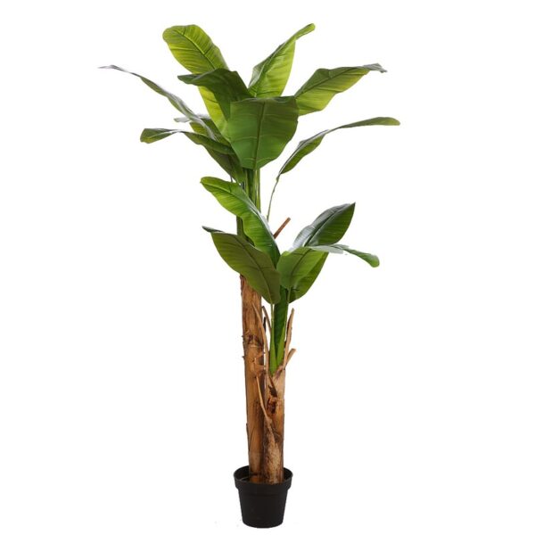 B222TH_0 PLATANERA ARTIFICIAL EN MACETA 170CM - Imagen 1