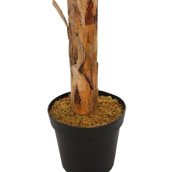 PLANTANERA ARTIFICIAL 165CM - Imagen 3