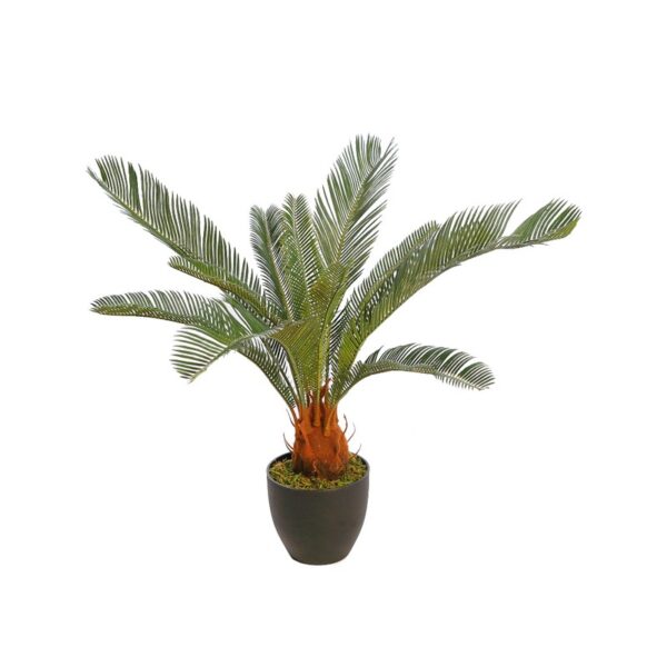 B225TR_0 CYCAS CON MACETA 65CM - Imagen 1