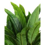 CALATHEA ARTIFCIAL EN MACETA 75CM - Imagen 2