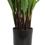 CALATHEA ARTIFCIAL EN MACETA 75CM - Imagen 3