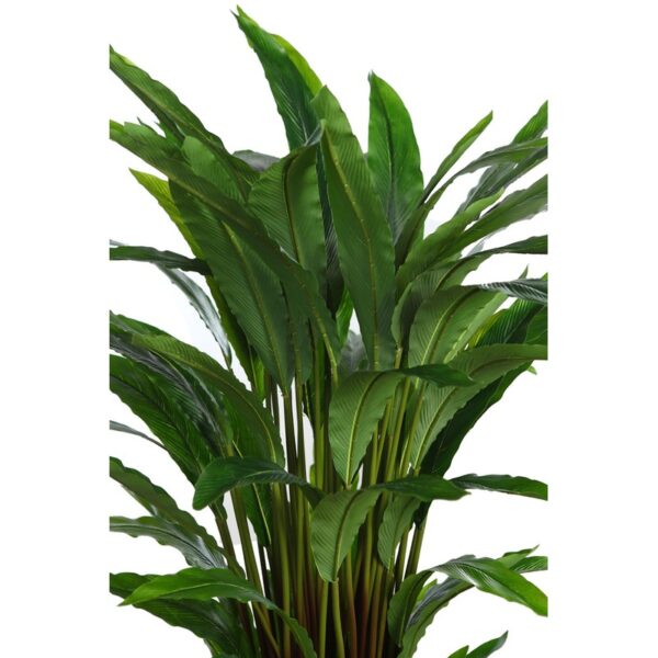 PLANTA CALATHEA ARTIFICIAL 100CM - Imagen 2
