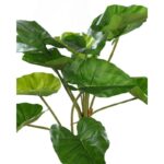 COLOCASIA ARTIFICIAL EN MACETA 110CM - Imagen 2