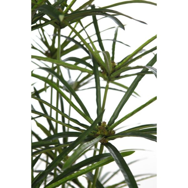 PLANTA PAPIRO ARTIFICIAL 160CM - Imagen 2