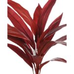 PLANTA DRACENA ROJA ARTIFICIAL 60CM - Imagen 2