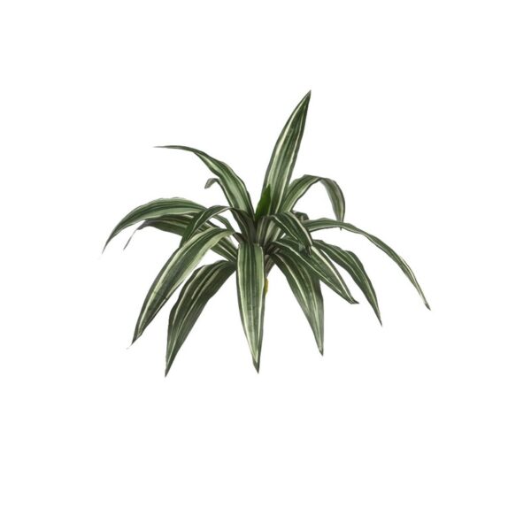 CABEZA DE DRACENA ARTIFICIAL 38CM - Imagen 1