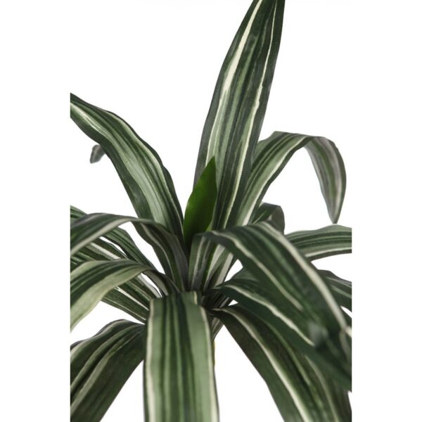 CABEZA DE DRACENA ARTIFICIAL 38CM - Imagen 2