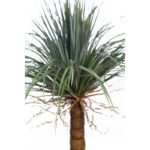 YUCCA ARTIFICIAL 150CM - Imagen 2