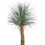 YUCCA ARTIFICIAL 200CM - Imagen 2
