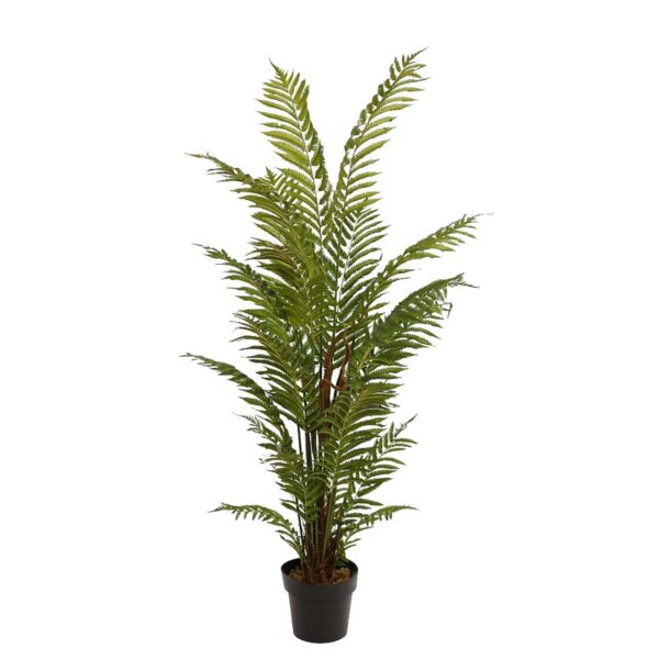 B478TB_0 HELECHO ARBOREO CON MACETA, 150 CM - Imagen 1