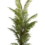 HELECHO ARBOREO CON MACETA, 150 CM - Imagen 2