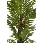 HELECHO ARBOREO CON MACETA, 150 CM - Imagen 3
