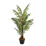 HELECHO ARBOREO CON MACETA, 120CM