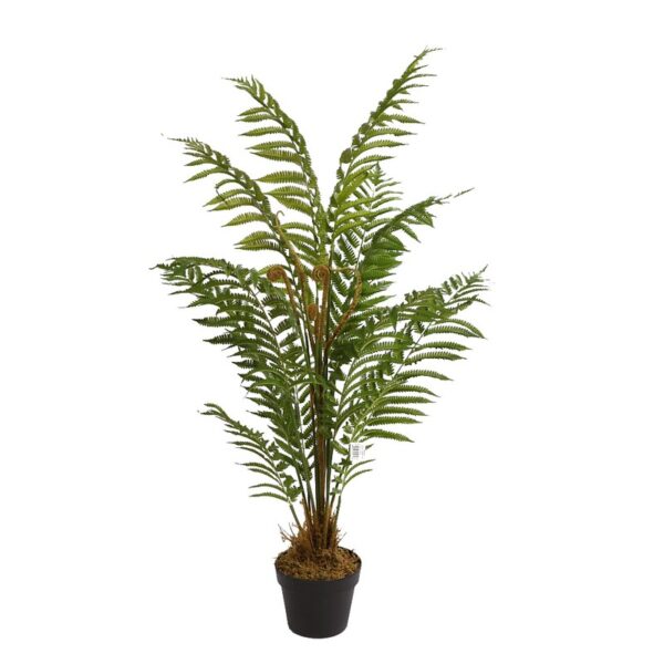 B487TA_0 HELECHO ARBOREO CON MACETA, 120CM - Imagen 1