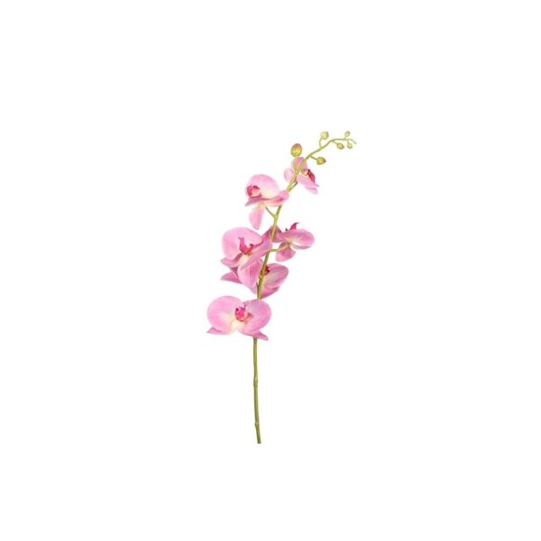 ORQUIDEA PHALAENOPSIS 105CM - Imagen 1