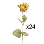 CAJA 2 DOZ VARA GIRASOL 77CM - Imagen 2