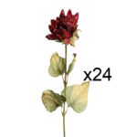 CAJA 2 DOZ VARA GIRASOL 77CM - Imagen 4