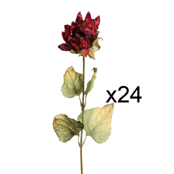 CAJA 2 DOZ VARA GIRASOL 77CM - Imagen 4