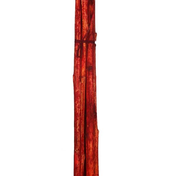 CAÑA 6UD 150CM - Imagen 8